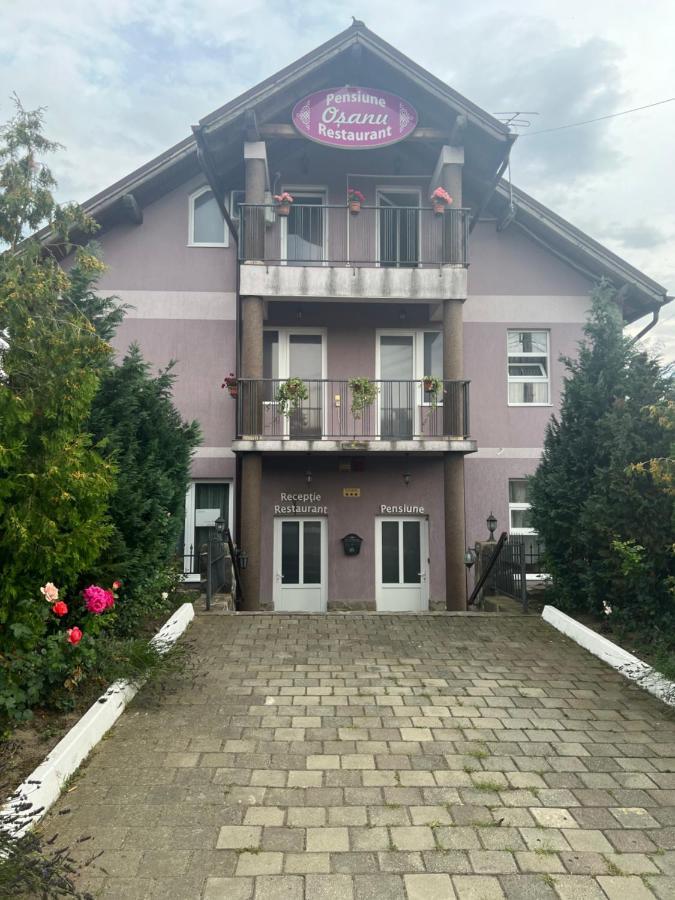Pensiune Osanu Sibiu Luaran gambar
